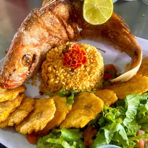 Poseidons Food Truck Hatillo PR