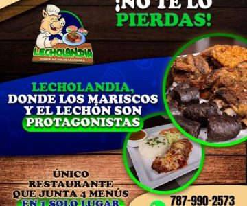 lecholandia7